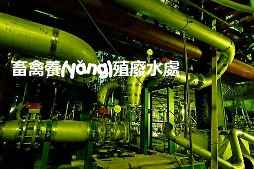 畜禽養(yǎng)殖廢水處理技術(shù)規(guī)范深度解析！如何實(shí)現(xiàn)綠色可持續(xù)發(fā)展？
